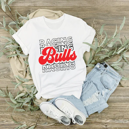 Raging Bulls Tee, Bella and Canvas Raging Bulls Shirt, Raging Bulls Spirit Wear