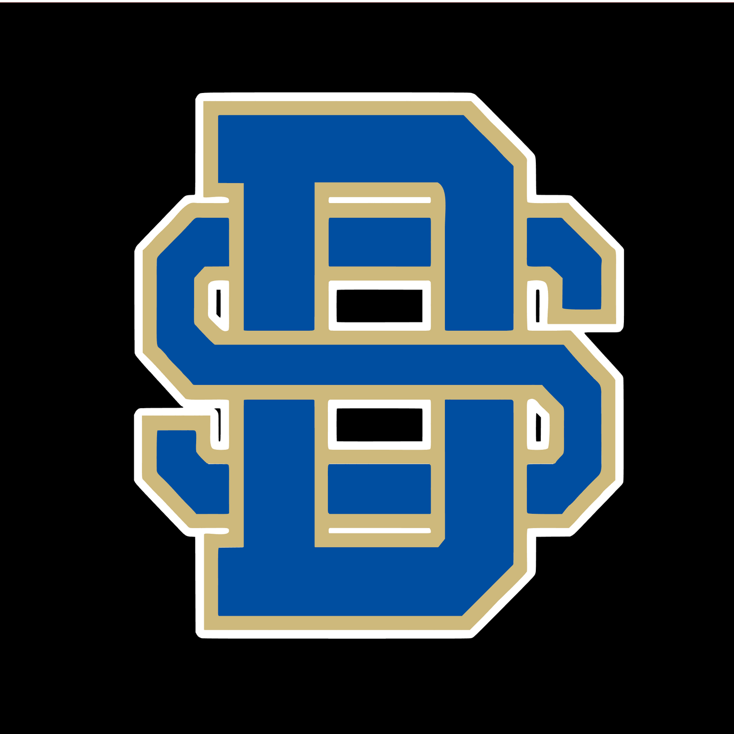 Divine Savior Academy