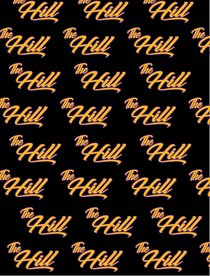 Panthers Baseball 2 Sided Velveteen Blanket, Custom Player Sports Blanket, The Hill Minky Blanket