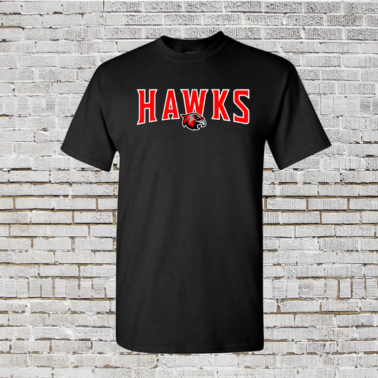 Hawks Baseball Tee, Hawks Baseball Shirt, Short Sleeve Hawks Drifit Shirt