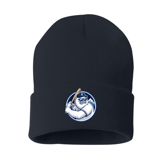 Navy Logo on a white background