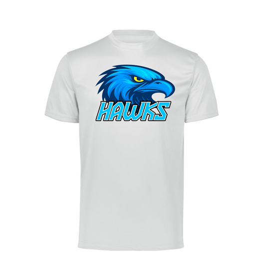 Hawks Baseball Tee, Hawks Baseball Shirt, Short Sleeve Hawks Drifit Shirt